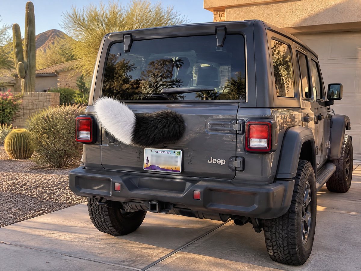 Black and white Wagride tail on a parked car, clear of the license plate
