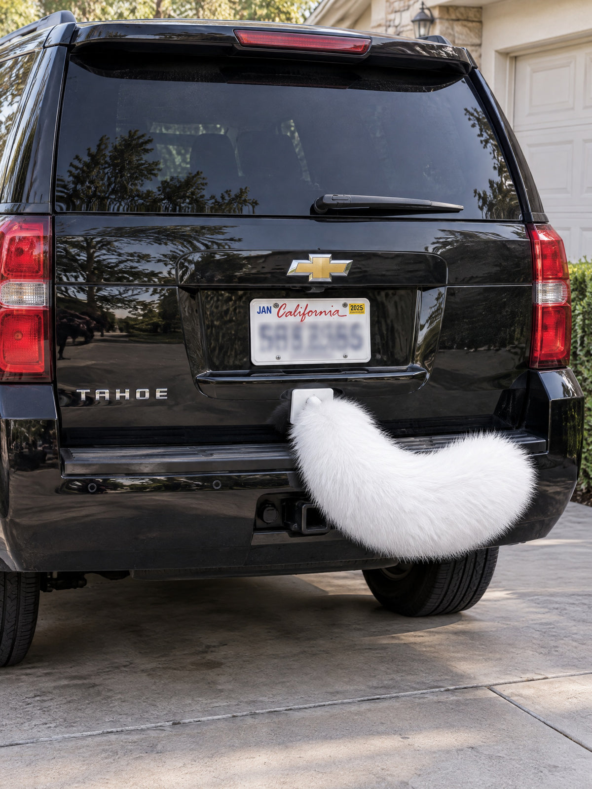 All White | Wagride tail rear of a black Chevrolet Tahoe
