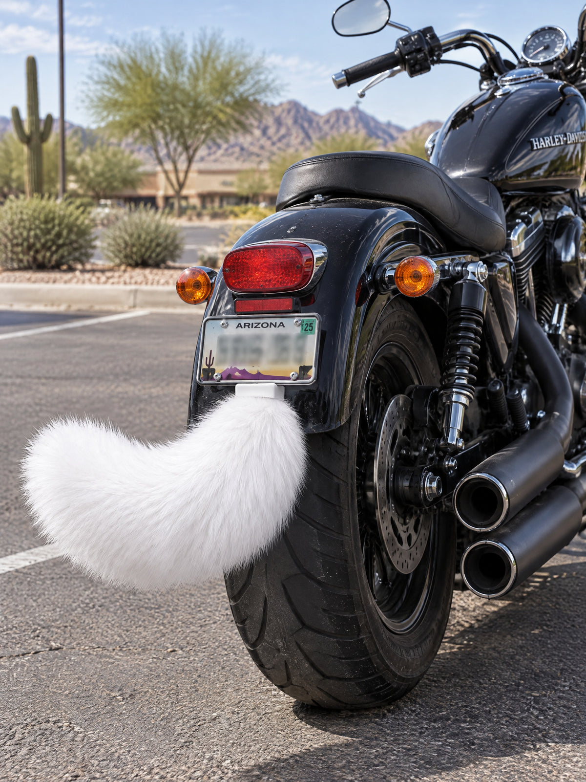 All White | Wagride tail rear of a black Harley-Davidson