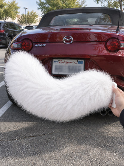 All White | Wagride tail held beside a dark red Mazda MX-5