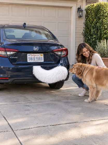 All White | Woman crouching beside dog sniffing Wagride tail on navy Honda Civic