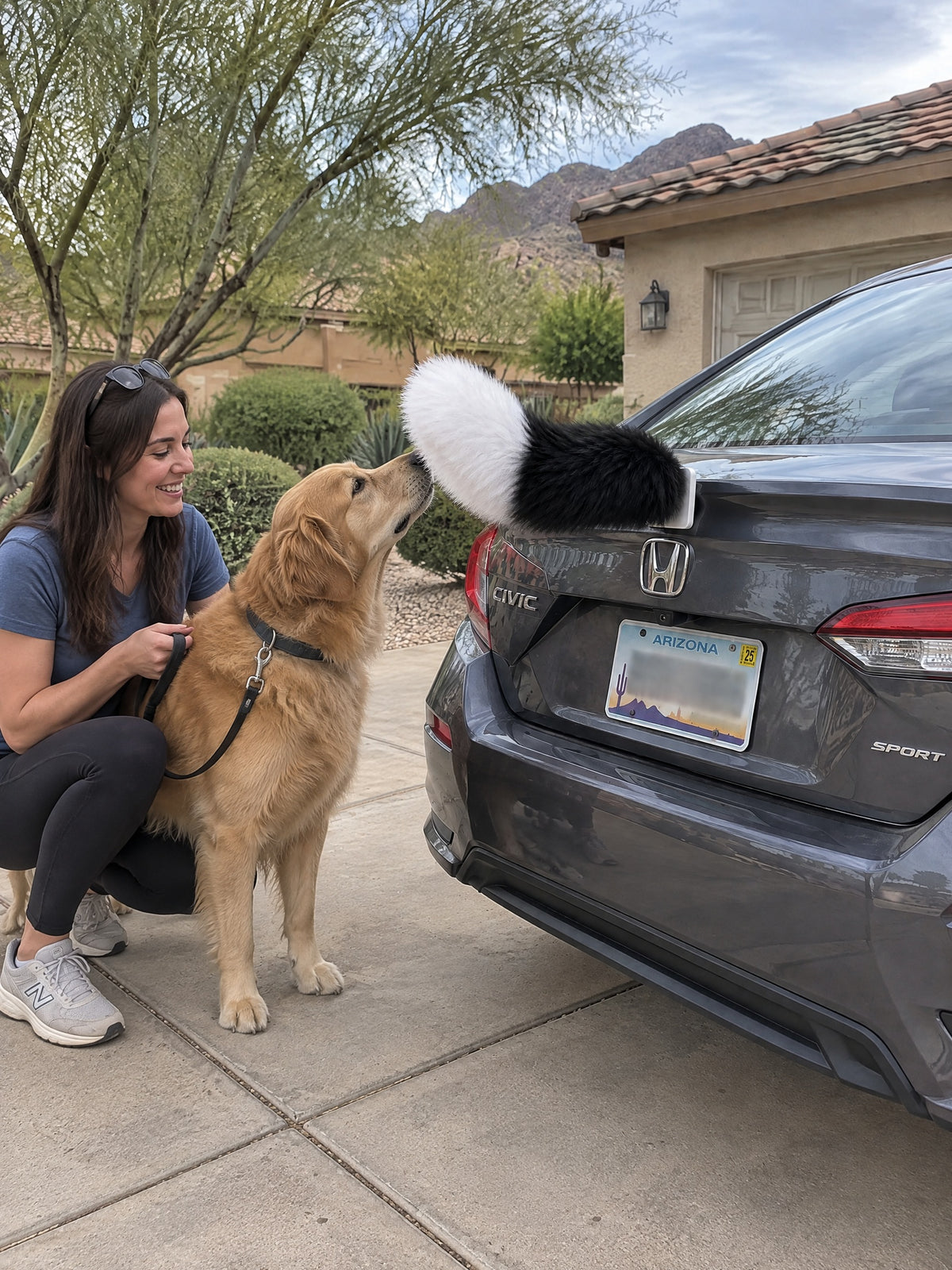 Black & White | A woman and dog meeting the Wagride tail on the same parked vehicle