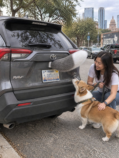 Gray & White | A woman and dog meeting the Wagride tail on the same parked vehicle