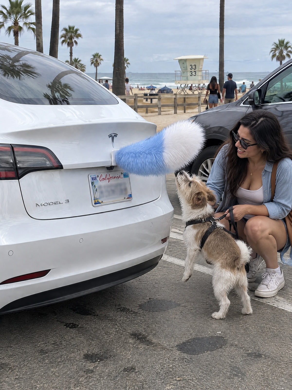 Sky Blue & White | A woman and dog meeting the Wagride tail on the same parked vehicle
