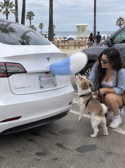 Sky Blue & White | A woman and dog meeting the Wagride tail on the same parked vehicle