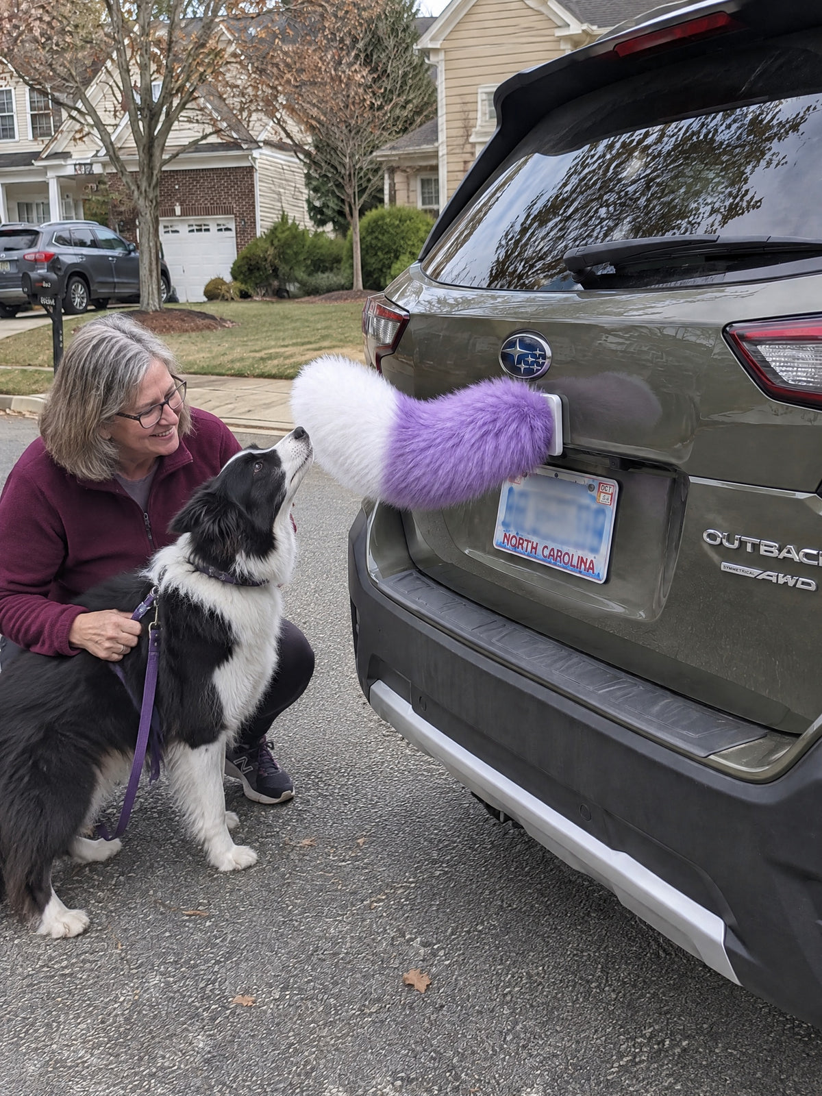 Purple & White | A woman and dog meeting the Wagride tail on the same parked vehicle