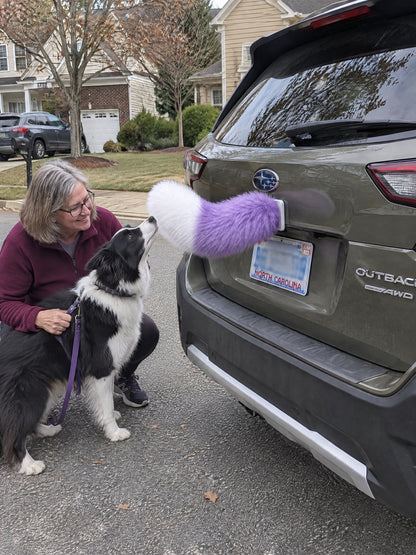 Purple & White | A woman and dog meeting the Wagride tail on the same parked vehicle