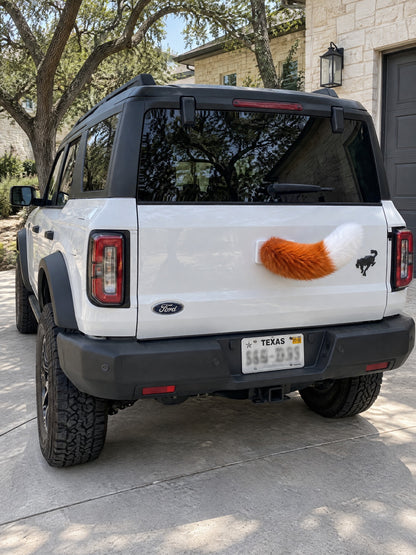 Orange & White | Wagride tail centered on the rear of a parked car