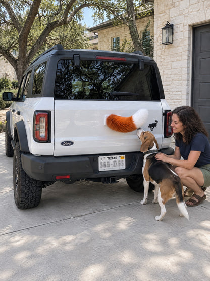 Orange & White | A woman and dog meeting the Wagride tail on the same parked vehicle