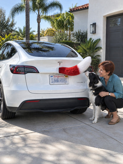 Red & White | A woman and dog meeting the Wagride tail on the same parked vehicle