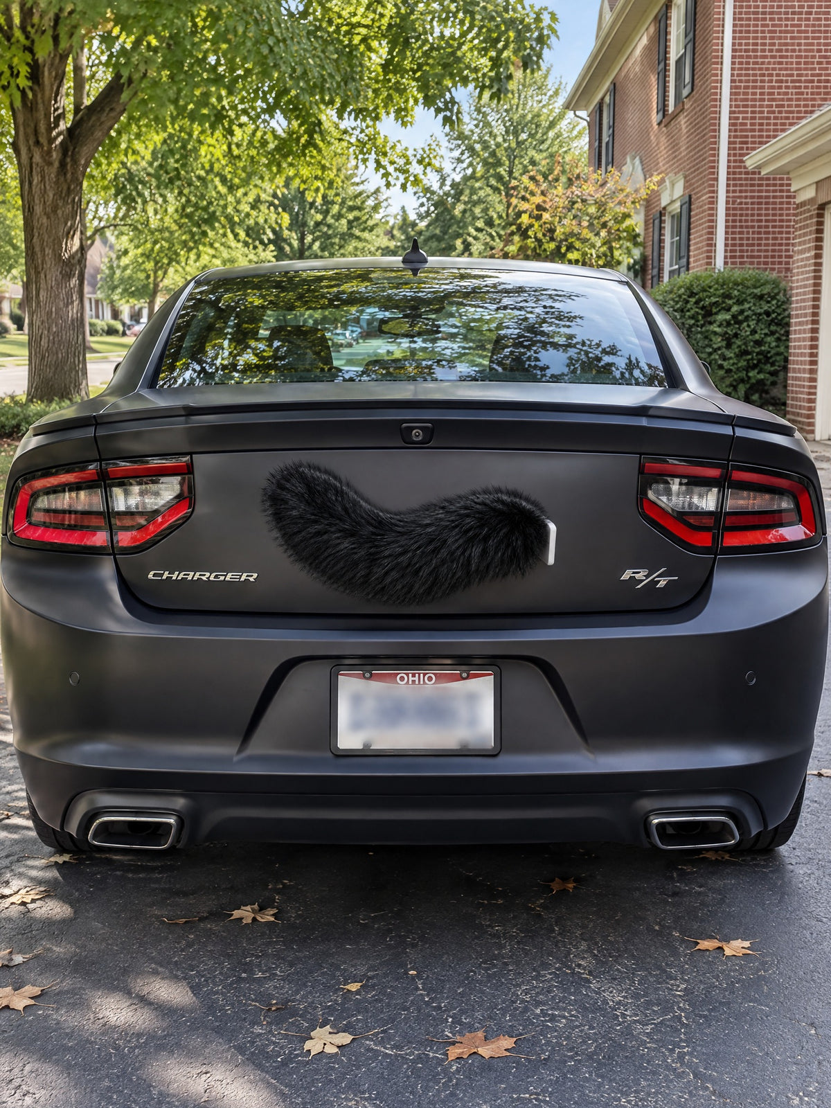 All Black | Wagride tail mounted at the rear of a parked car