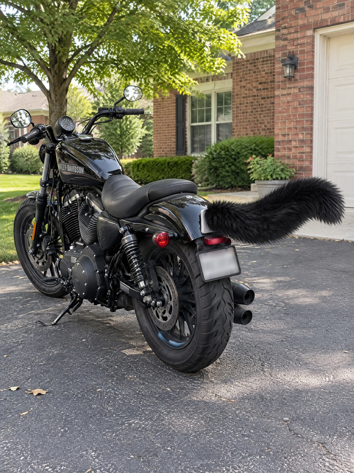 All Black | Wagride tail on the rear of a scooter or motorcycle