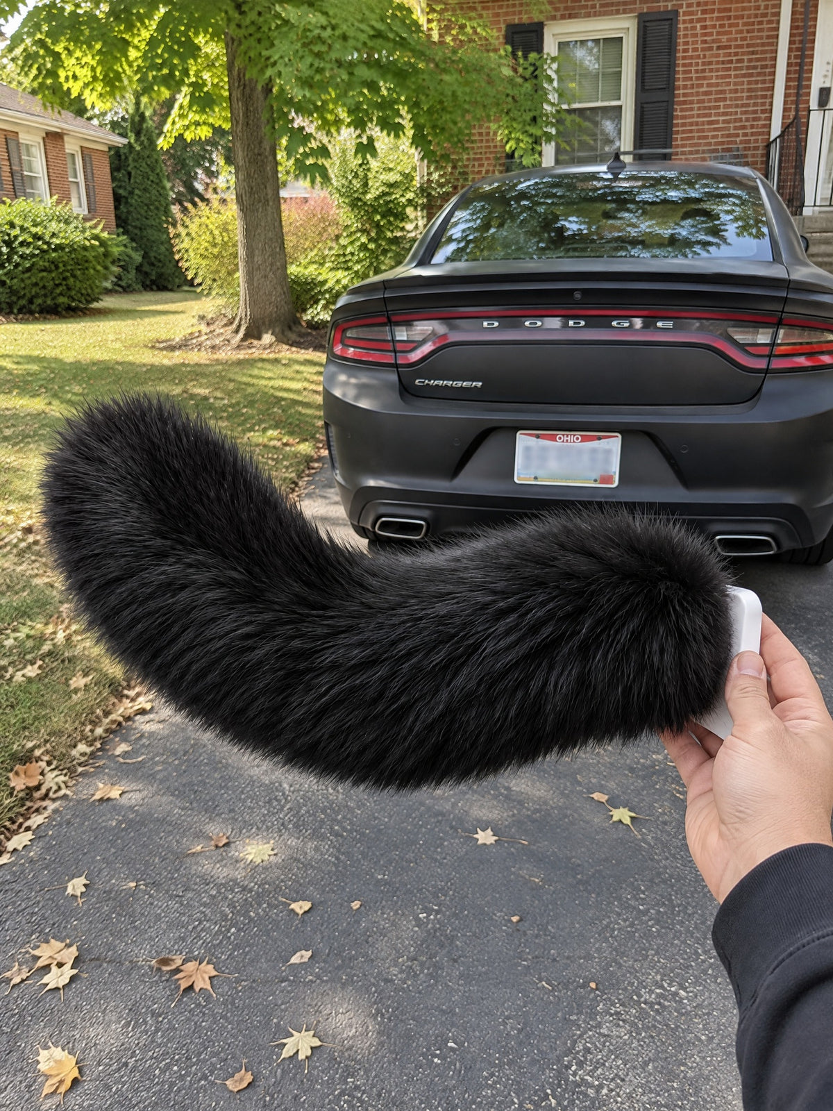 All Black | Wagride tail held in a hand in a parking lot