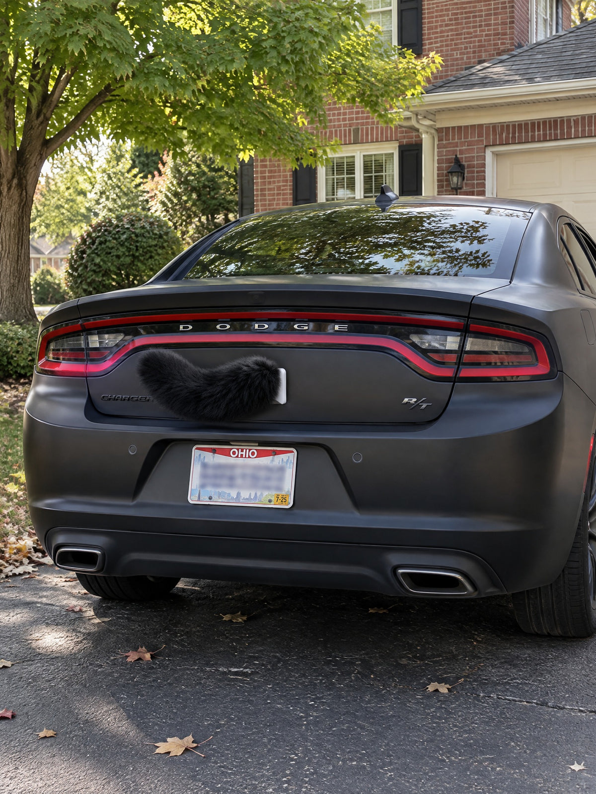 All Black | Wagride tail centered on the rear of a parked car
