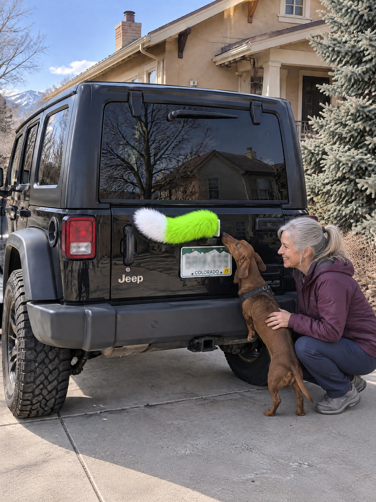 Neon Green & White | A woman and dog meeting the Wagride tail on the same parked vehicle