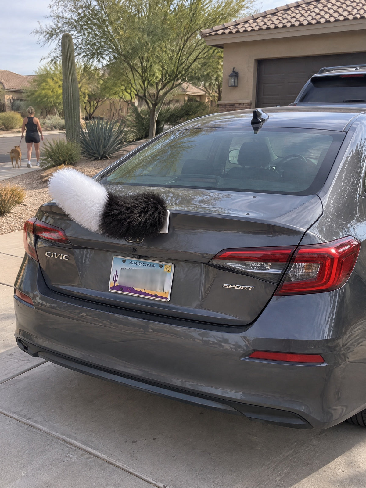 Black & White | Wagride tail mounted at the rear of a parked car