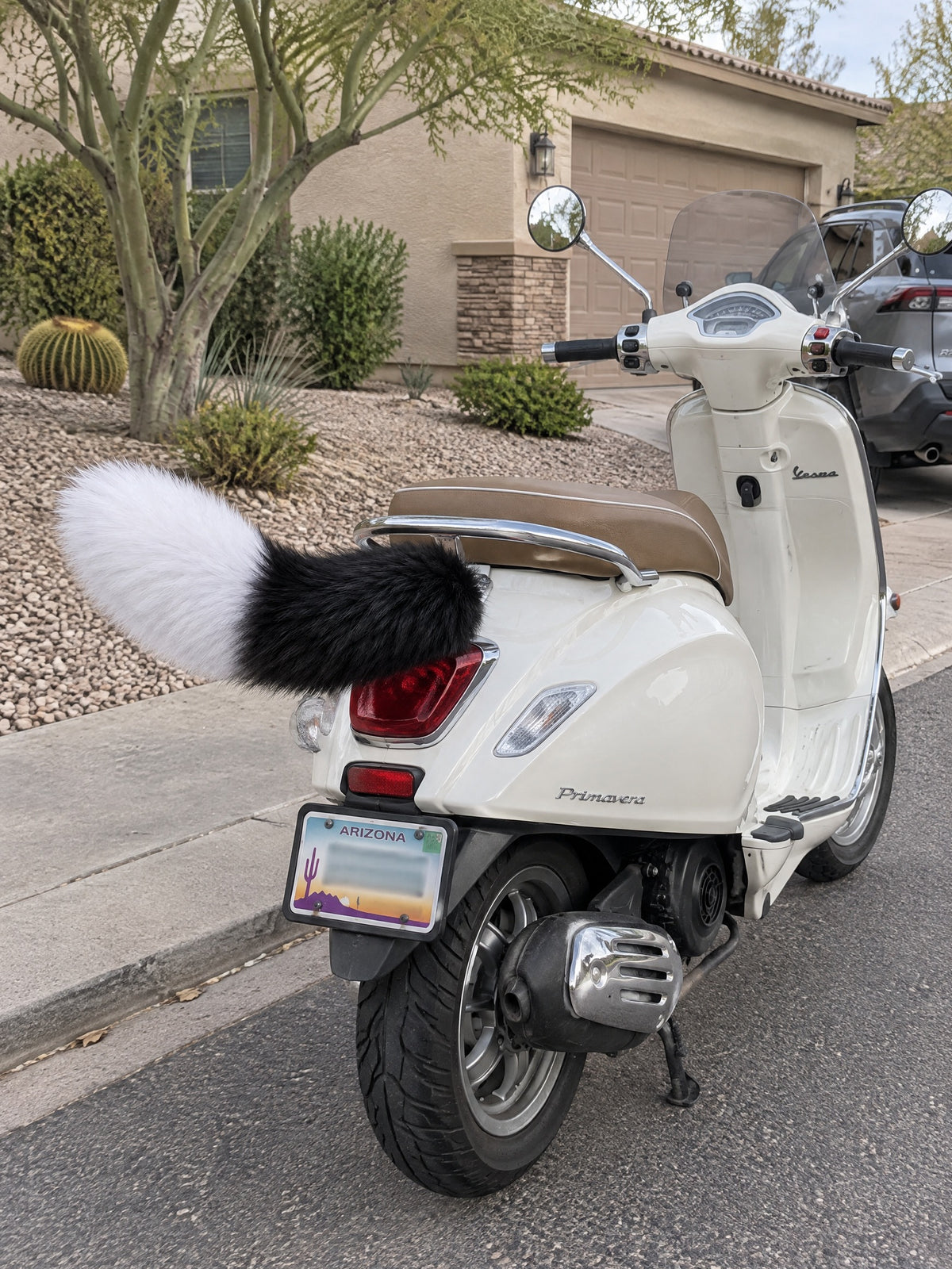 Black & White | Wagride tail on the rear of a scooter or motorcycle