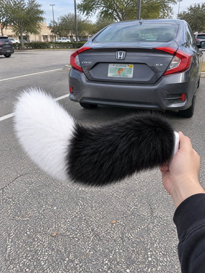 Black & White | Wagride tail held in a hand in a parking lot