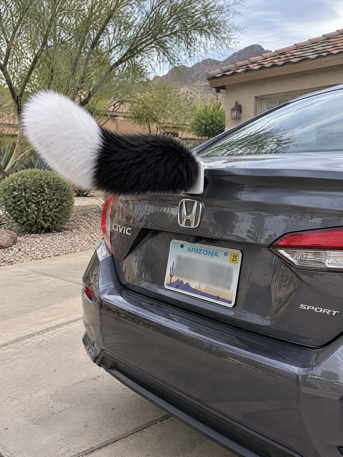 Black & White | Close-up of Wagride fur and rear-panel mounting clip
