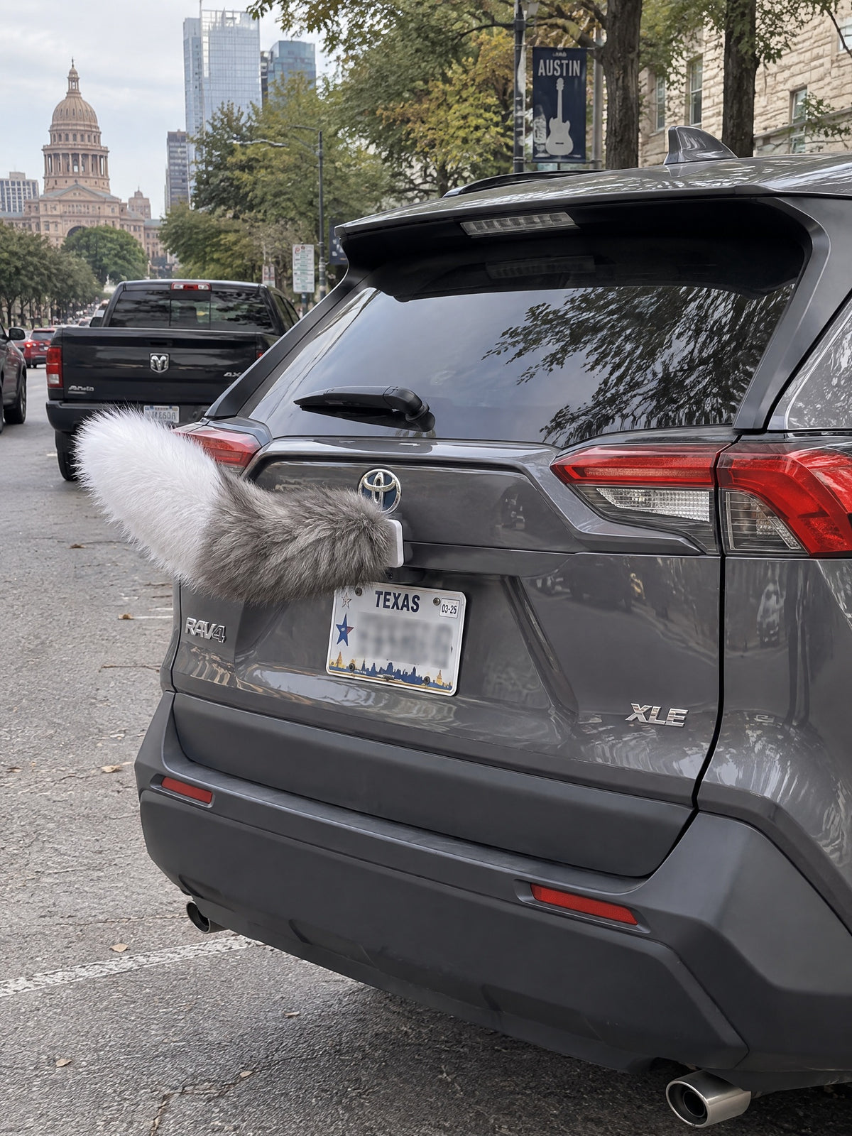 Gray & White | Wagride tail mounted at the rear of a parked car