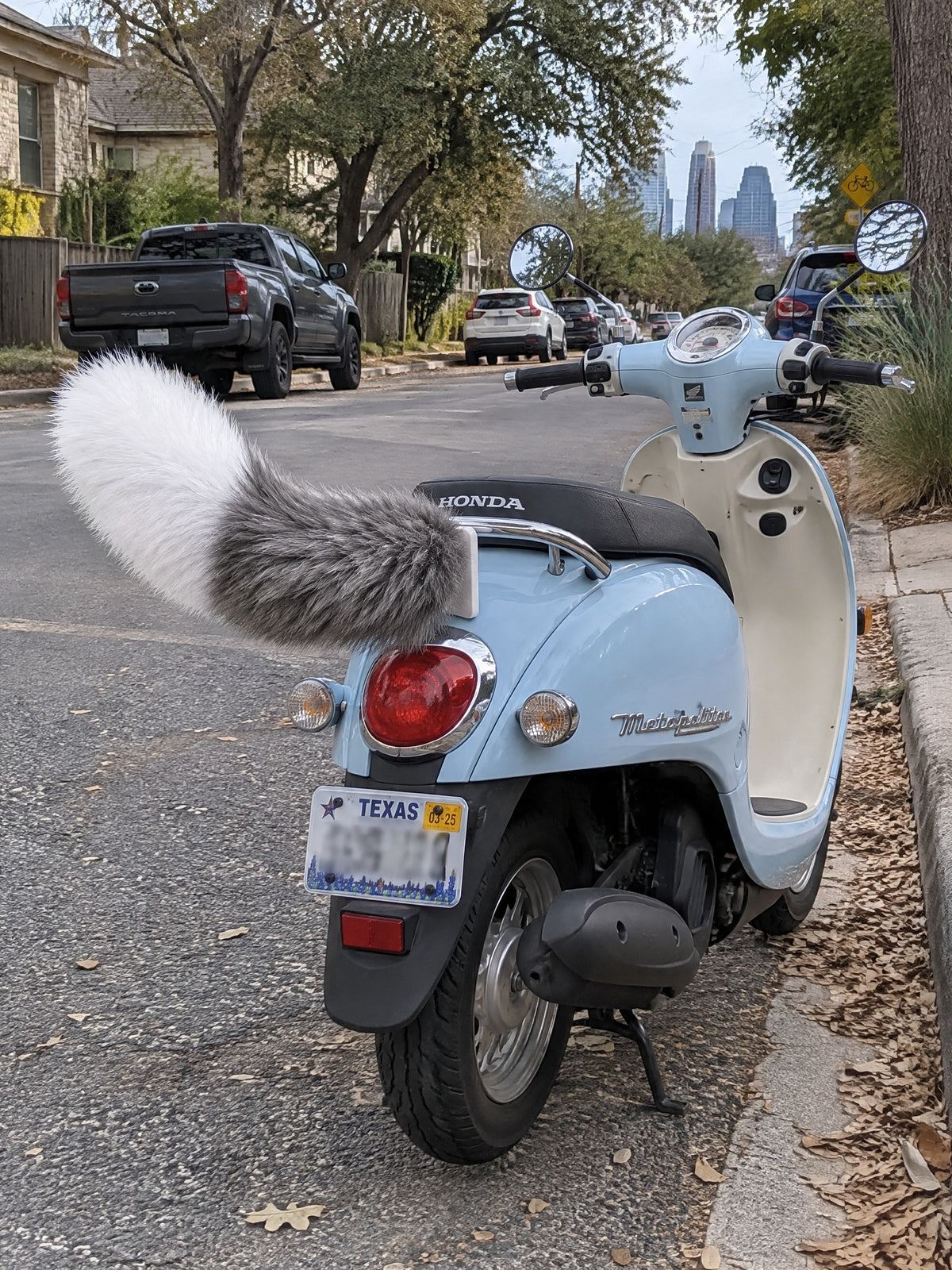 Gray & White | Wagride tail on the rear of a scooter or motorcycle