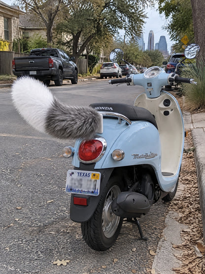 Gray & White | Wagride tail on the rear of a scooter or motorcycle