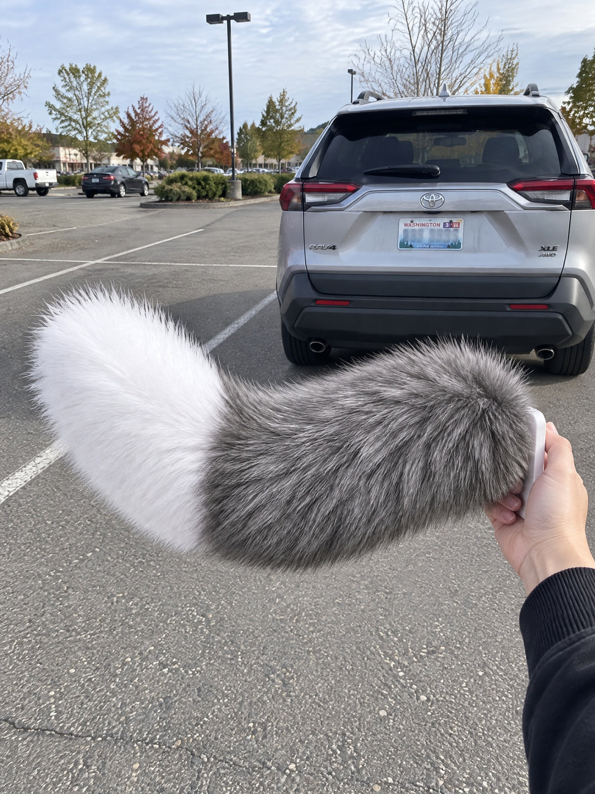 Gray & White | Wagride tail held in a hand in a parking lot