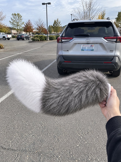 Gray & White | Wagride tail held in a hand in a parking lot