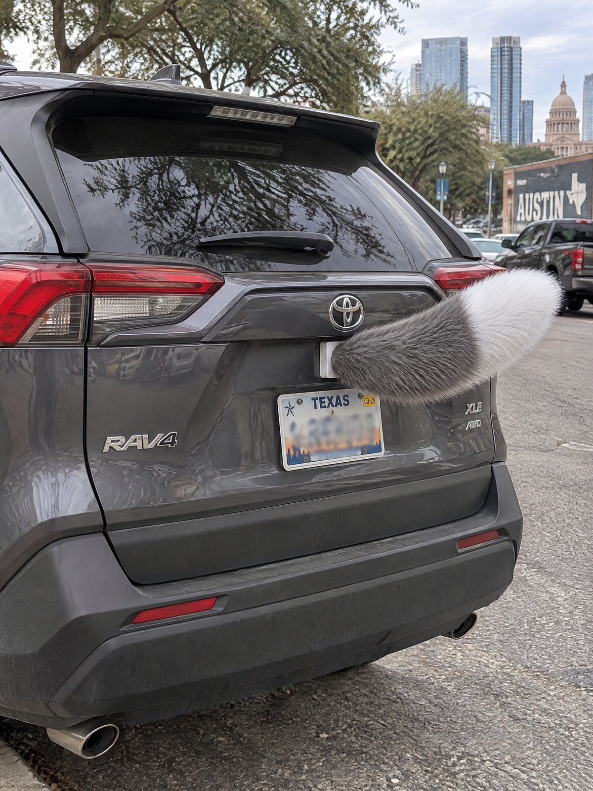 Gray & White | Close-up of Wagride fur and rear-panel mounting clip