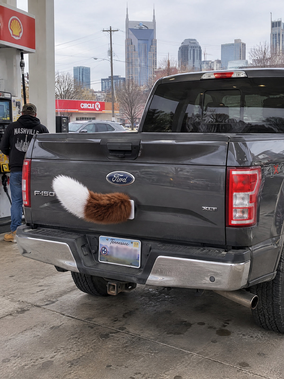 Brown & White | Wagride tail mounted at the rear of a parked car