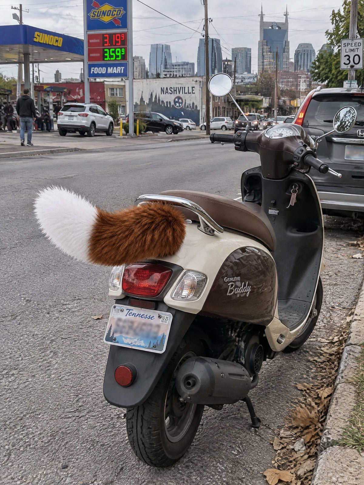 Brown & White | Wagride tail on the rear of a scooter or motorcycle
