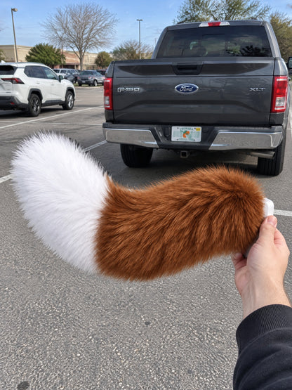 Brown & White | Wagride tail held in a hand in a parking lot