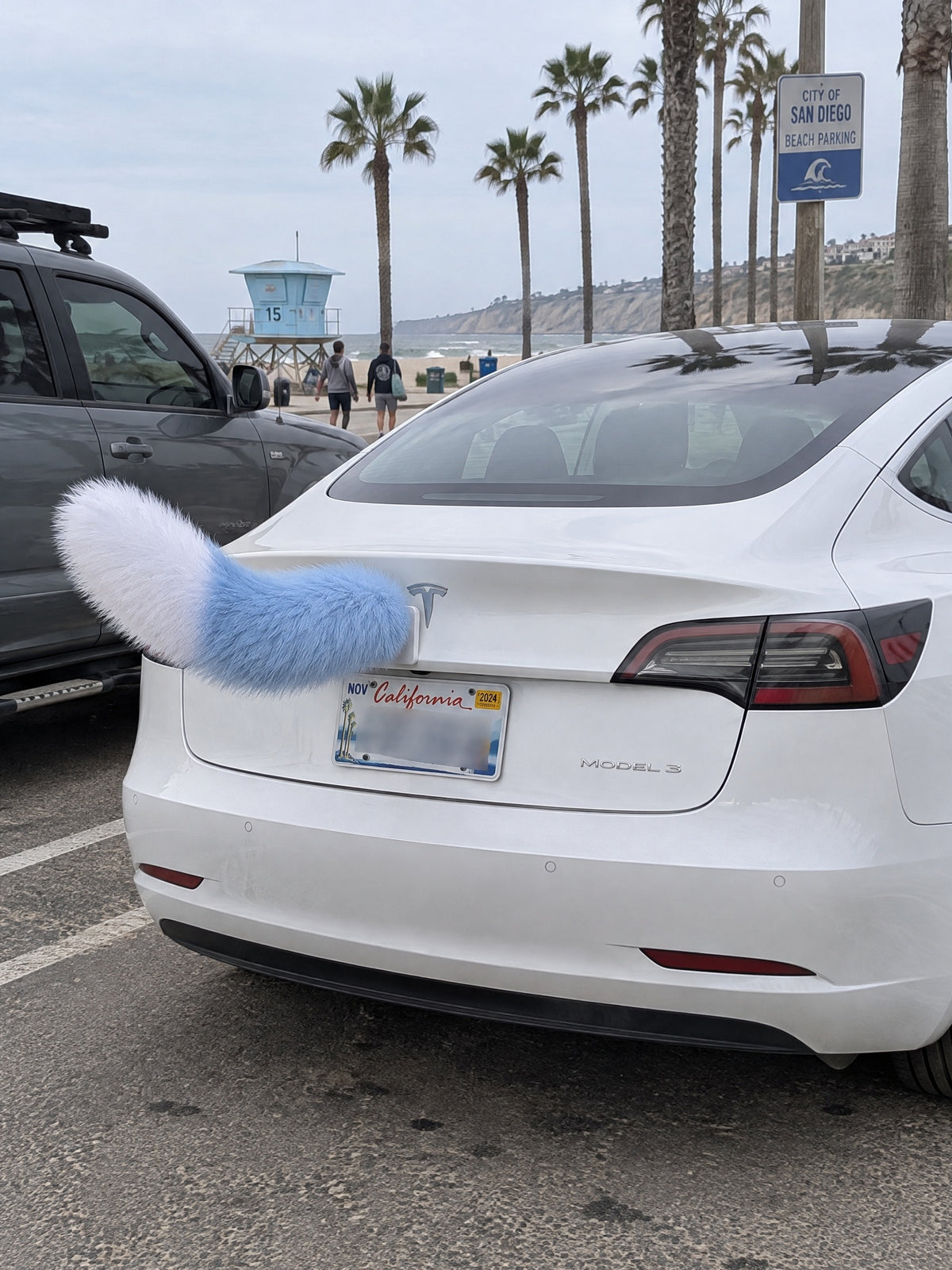 Sky Blue & White | Wagride tail mounted at the rear of a parked car