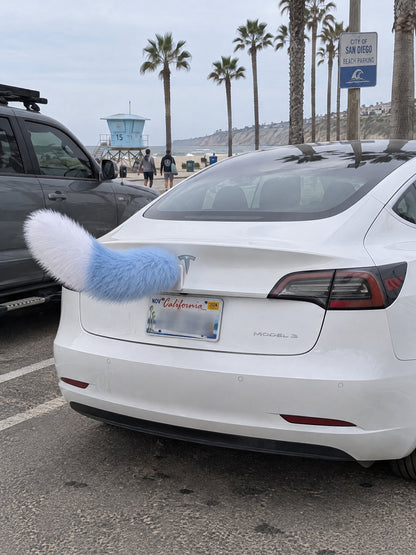 Sky Blue & White | Wagride tail mounted at the rear of a parked car