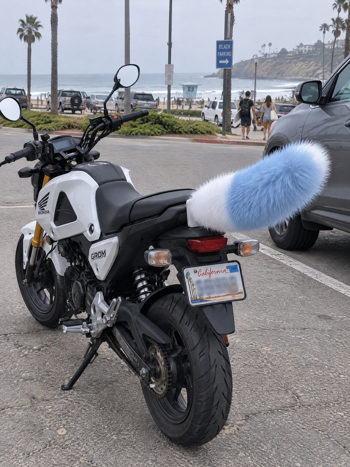 Sky Blue & White | Wagride tail on the rear of a scooter or motorcycle
