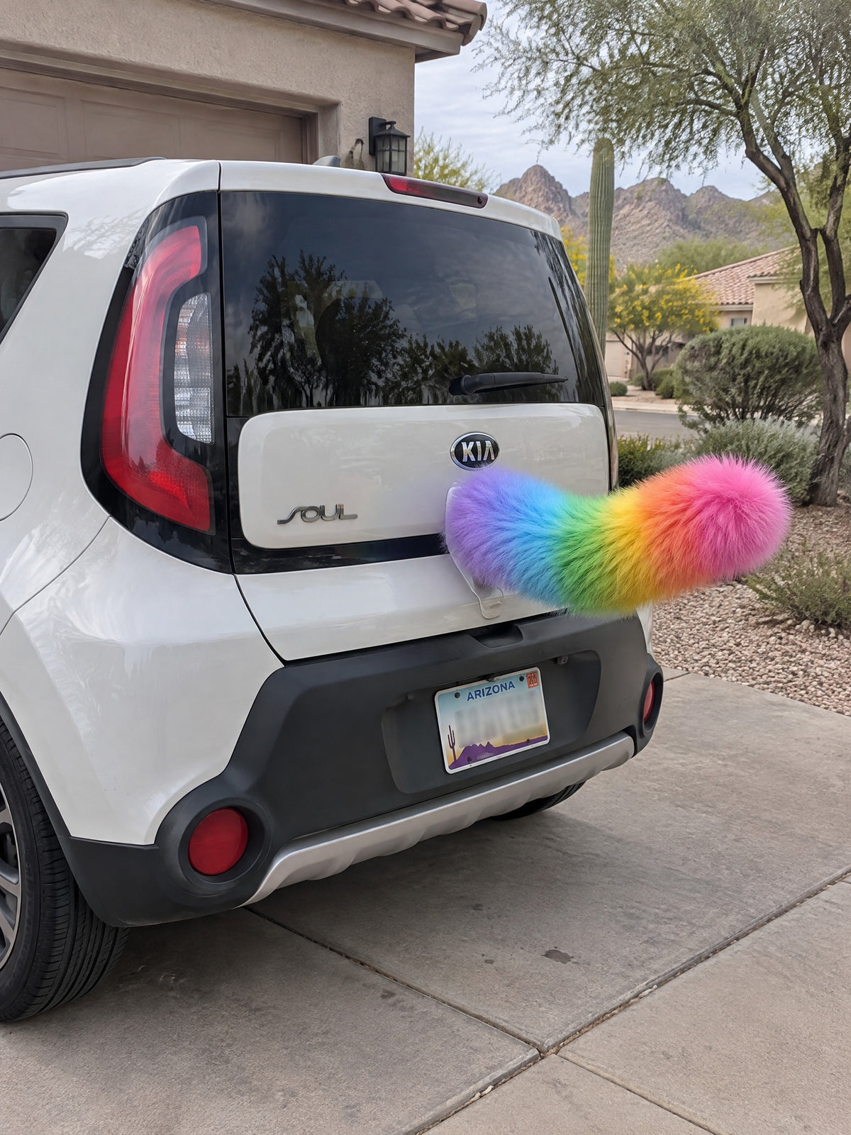 Rainbow | Wagride tail mounted at the rear of a parked car