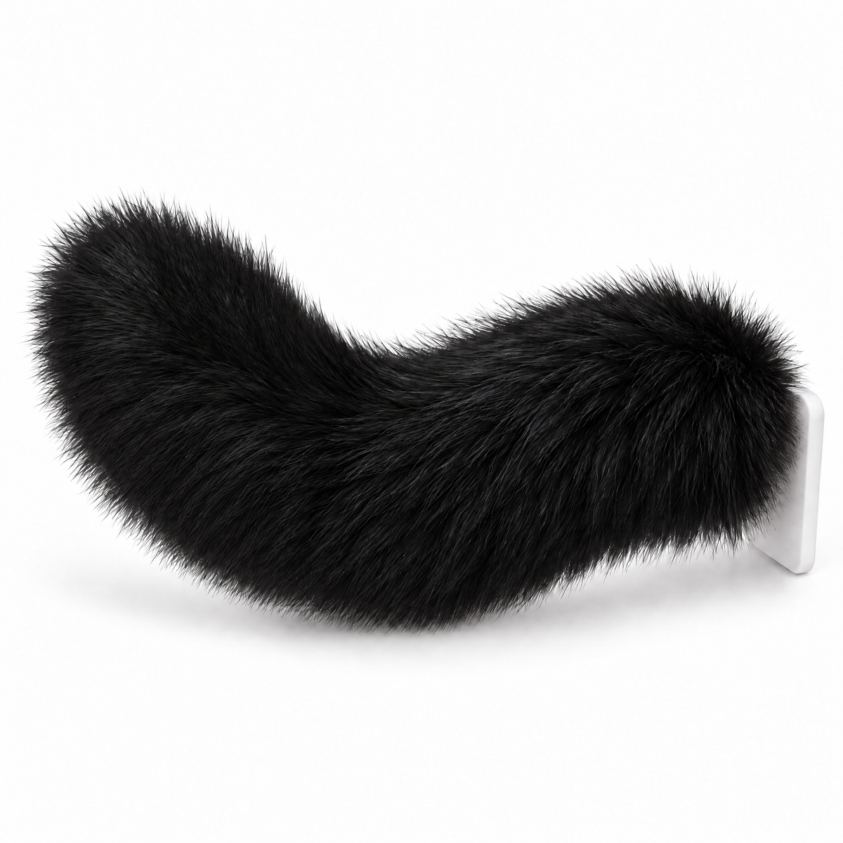 All Black | Wagride tail on white background